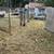 LAND CLEARING,TREE TRIMMING, GRASS CUTTING, BUSH TRIMMING, LANDSCAPING 13 thumbnail