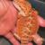 Bearded dragon 6 thumbnail