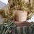 Little Bo Peep Ashton Drake Galleries Porcelain Doll with Sheep 16 thumbnail