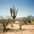 40 acres located inside Tohono O'odham Indian Reservation 9 thumbnail