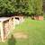 Wood for smoking meats 1 thumbnail