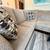 Gray L-Sectional Sofa with Chaise — Like New | $950 | Golden Valley 2 thumbnail