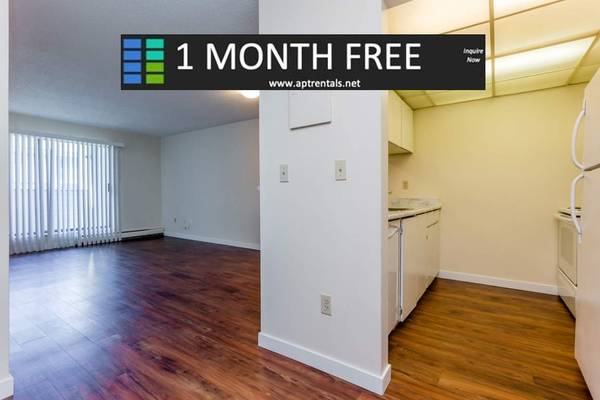 ONE BEDROOM FOR RENT IN SURREY - FIRST MONTH FREE 1