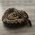 Ball Python with Setup 1 thumbnail