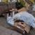 JUNK REMOVAL/TRASH PICKUP/HAULING SERVICE/TRASH REMOVAL/DEMOLITION 10 thumbnail