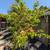 Benicia 3 bedroom/2 bath home 22 thumbnail