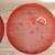 Food Dome Cover PICNIC Mesh Screen Red Watermelon Set Of 2 2 thumbnail