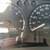2002 Chevrolet S-10 1/2 Ton XL 9 thumbnail