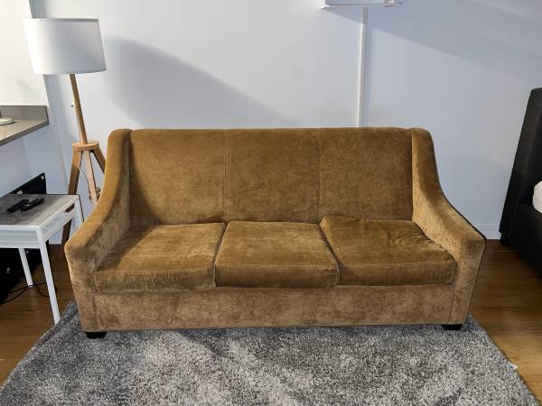 Couch with a pull out bed 1