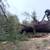 Angry Beaver Tree Removal Services 3 thumbnail