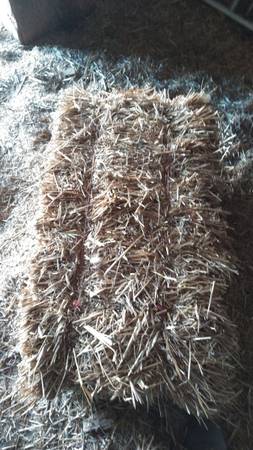 Hay for sale 1