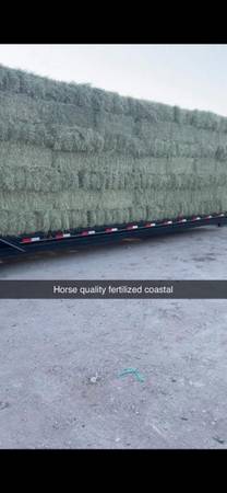Coastal hay 1
