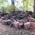 Firewood 3 thumbnail