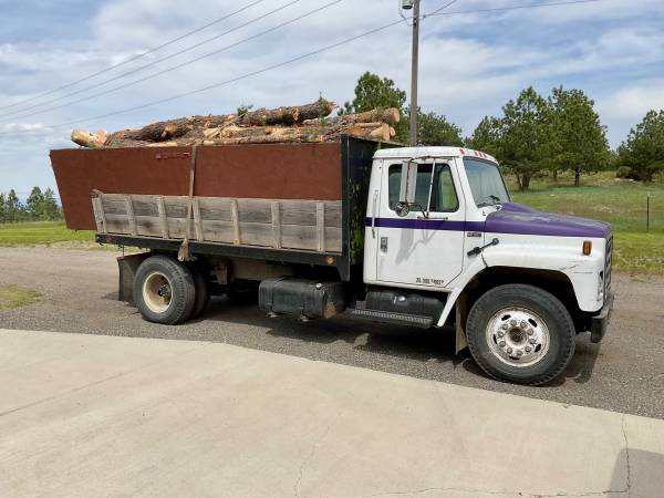 FIREWOOD Duglas Fur 1