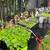 FARM / GARDEN /BUILD /GROW HOUSE / MATERIALS 17 thumbnail