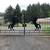 Affordable DRIVEWAY GATES Galvanized Gate Wrought Iron Security 1 thumbnail