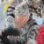 Cute kitten 2 thumbnail