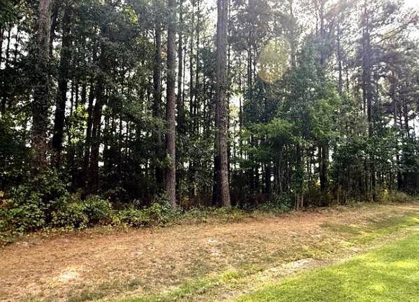 $19,999 Albemarle Plantation Lot, Priced to Sell!63987472243075124
