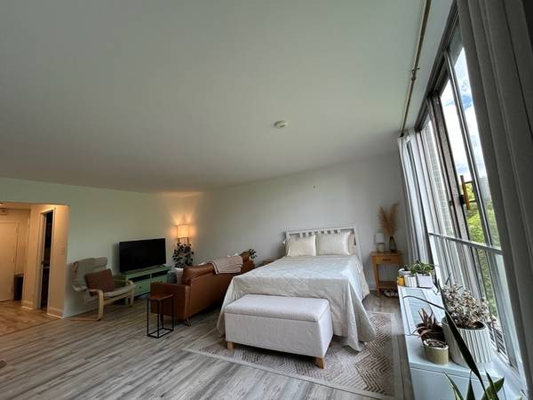 $2,550 / 500ft2 - Bright Studio w/ Pool & Tennis – Heat & Hot Water - Available Now (Brookline)64213548666370121