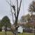 Johns Complete Tree Service and outdoor projects Cell: 216-855-6612 2 thumbnail