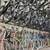 250+ NEW BMX HYBRID ROAD MTN CITY CRUISER KIDS FOLDING GRAVEL BIKES! 7 thumbnail