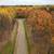Leech Lake Lots 8 thumbnail