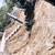 Grading, Excavation, Trenching, Gravel, Driveways, Demo, Dump Truck 17 thumbnail