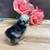 Silkie chicks 3 thumbnail