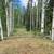 land for sale on Horse Lake Trade Friendly 1 thumbnail