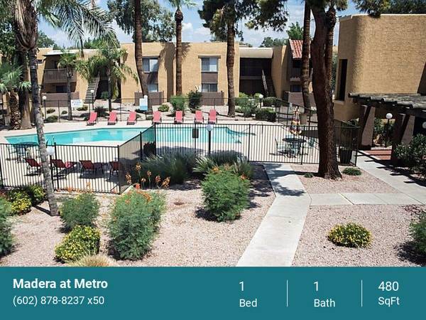Oasis Awaits: Indulge in Madera's Amenities up to 1 month off move in 1
