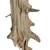 AUSTIN TX 32" DRIED WOOD Natural Decorative Sandblasted Branch 9 thumbnail