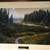 JIM BRANDENBURG WILDERNESS CREEK IN THE RAIN FRAMED SIGNED 32 X 24 4 thumbnail