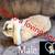 3 month old Holland lop baby bunnies 5 thumbnail