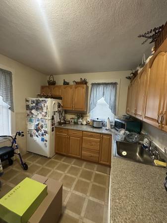 $2,400 / 2br - Brighton 2.5 Bed/1 Bath | Cats Negotiable | Near Oak Square (Brighton)63614178960643121