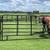 ROUND PENS*CORRAL PANELS*GATES*FEEDERS FACTORY DIRECT*FINANCING AVAILA 4 thumbnail