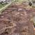 Land Clearing and Demolition Work 6 thumbnail
