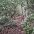 Beautiful mountain like acreage with mountain stream 13 thumbnail