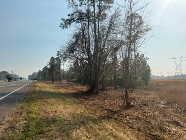 $550,000 US HWY 1 & Conner Cutoff Rd - Vacant Land For Sale -$550,000 (Hilliard)63377821862915122