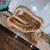 Leopard geckos 3 thumbnail
