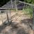 LRG  outdoor dog kennel/run 2 thumbnail