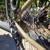 Fuji Touring Road Bike *As New* 4 thumbnail