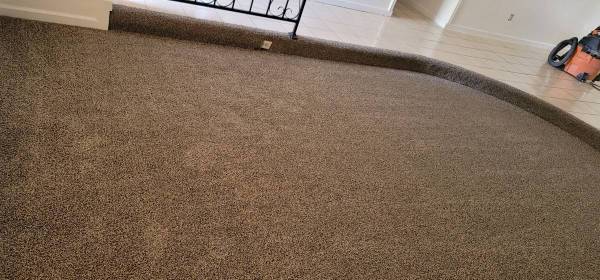 CARPET, VINYL PLANK 1