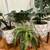 Neighborhood Garage Sale – Oct 4th/5th Sat & Sun, Great Deals 3 thumbnail