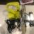 █ ✿ █ RYOBI 7 ¼” MITER SAW with LASER █ ✿ █ 7 thumbnail