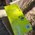 Ryobi ONE+ P4001 18V Cordless Drain Auger With 25' Cable (Tool Only) 8 thumbnail