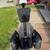 2 segway x2 off-road 8 thumbnail
