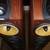 Beautiful condition Bowers Wilkins CDM 9NT Speakers 17 thumbnail