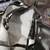 Engine guard Chaps 2 thumbnail