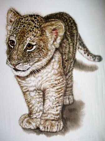 WILDLIFE ART PRINT "LION CUB" SIGNED Jacquie Marie Vaux 1