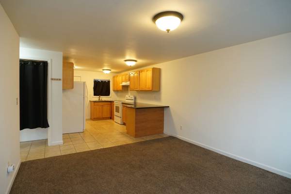 $1,080 / 1br - 650ft2 - Large One Bedroom Apartment in Othello Seattle Walking Distance (Seattle)63814635976451123